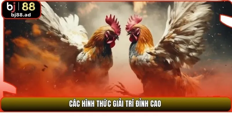 Các hình thức giải trí đỉnh cao 