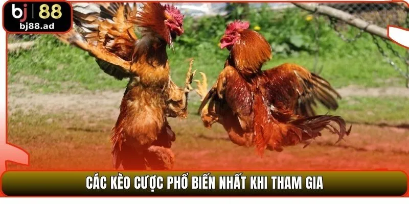 Các kèo cược phổ biến nhất khi tham gia 