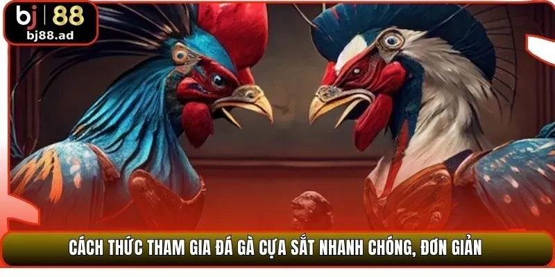Cách thức tham gia đá gà cựa sắt nhanh chóng, đơn giản 