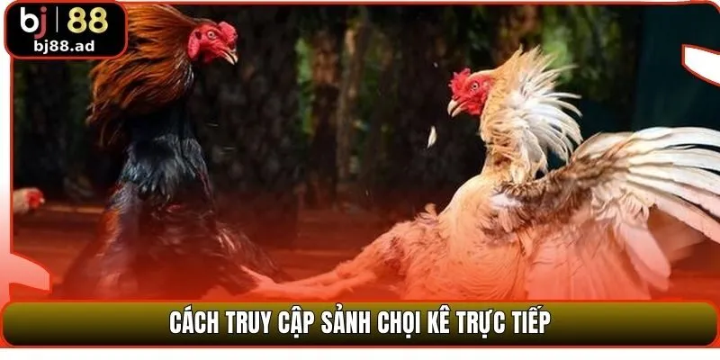 Cách truy cập sảnh chọi kê trực tiếp