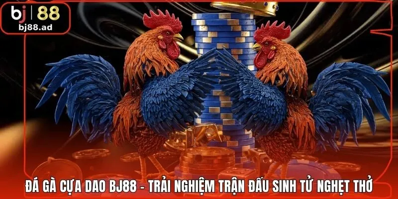 Đá Gà Cựa Dao BJ88 - Trải Nghiệm Trận Đấu Sinh Tử Nghẹt Thở