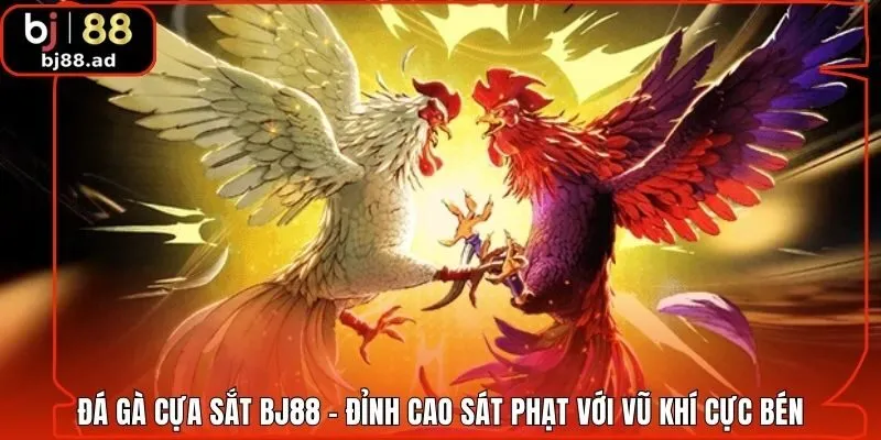 Đá Gà Cựa Sắt BJ88 - Đỉnh Cao Sát Phạt Với Vũ Khí Cực Bén