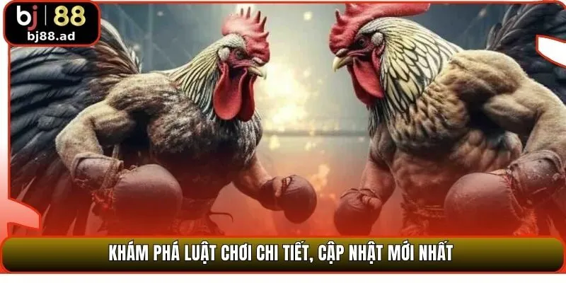 Khám phá luật chơi chi tiết, cập nhật mới nhất 