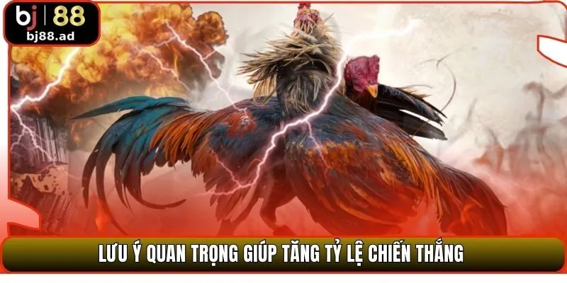 Lưu ý quan trọng giúp tăng tỷ lệ chiến thắng 