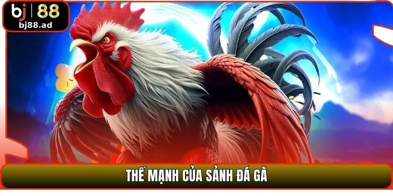 Thế mạnh của sảnh đá gà