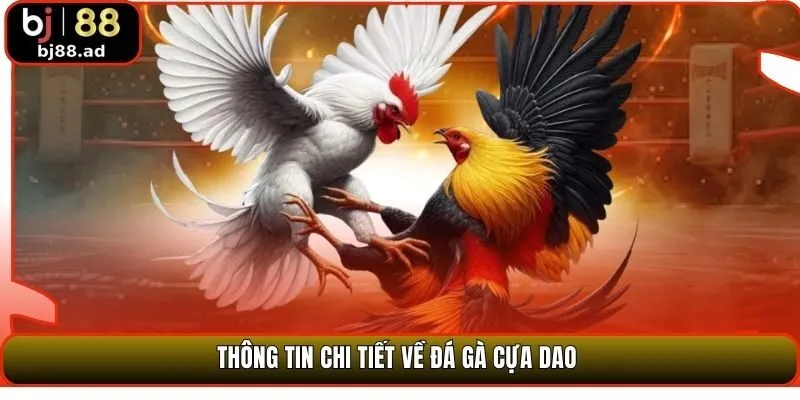 Thông tin chi tiết về đá gà cựa dao 
